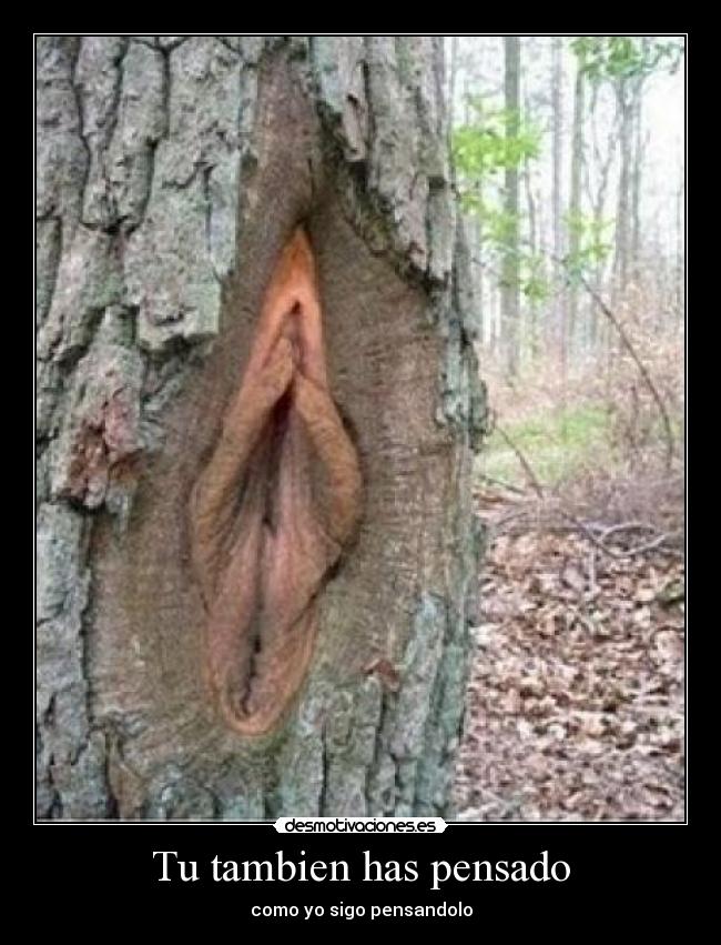 Tu tambien has pensado - como yo sigo pensandolo