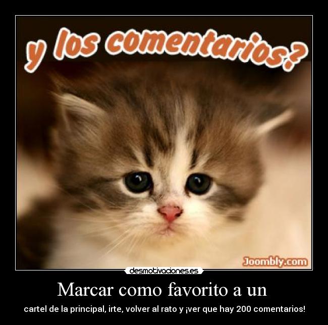 carteles ladyvendetta desmotivaciones