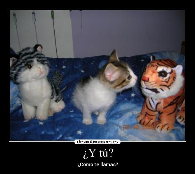 ¿Y tú? - 