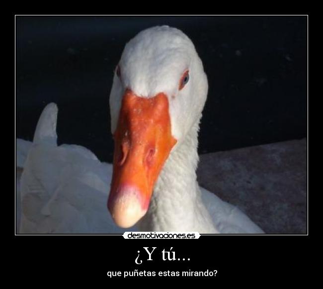 ¿Y tú... - 
