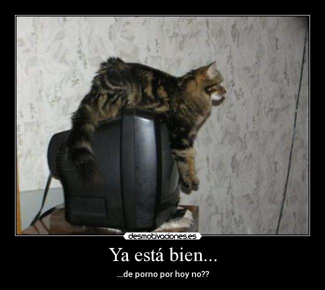 Ya está bien... - ...de porno por hoy no??