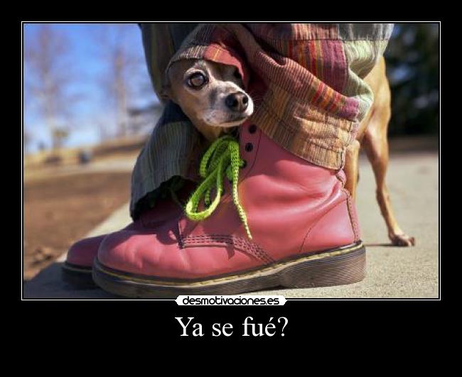 Ya se fué? - 