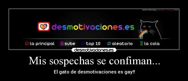 Mis sospechas se confiman... - El gato de desmotivaciones es gay!!