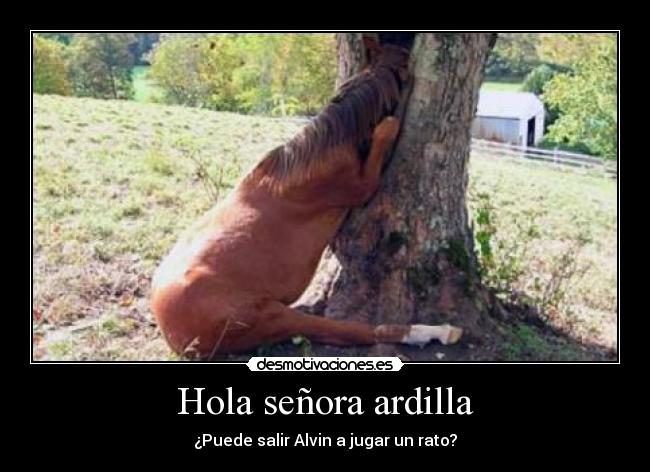 Hola señora ardilla - 