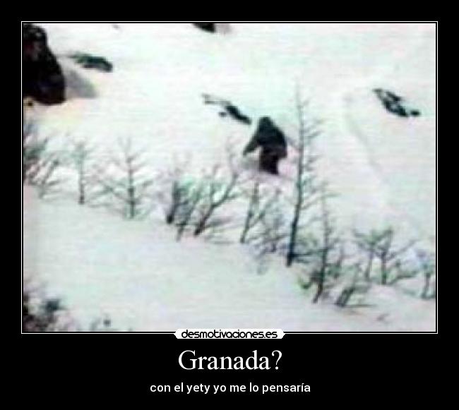 carteles omarion desmotivaciones