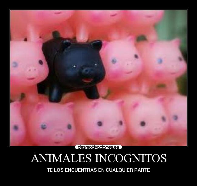 carteles animales animales incognitos desmotivaciones