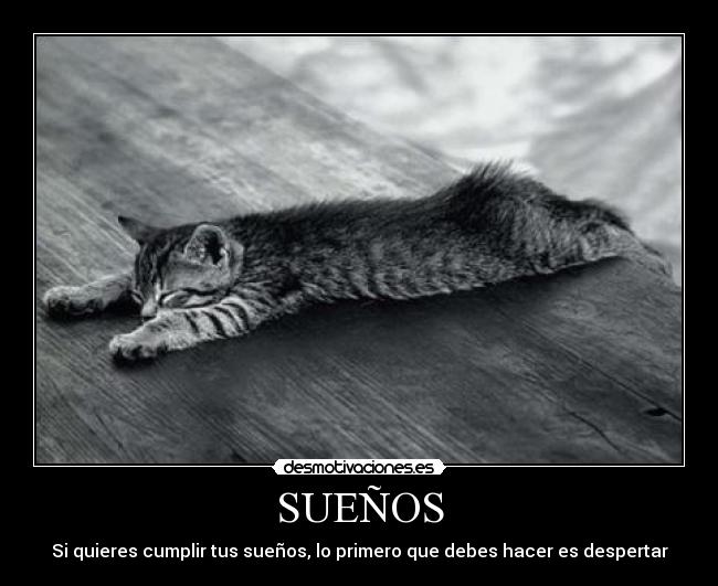 SUEÑOS - Si quieres cumplir tus sueños, lo primero que debes hacer es despertar