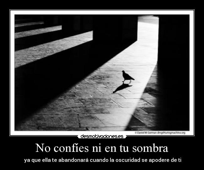 No confíes ni en tu sombra -