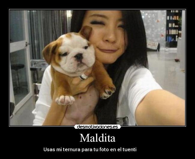 Maldita - Usas mi ternura para tu foto en el tuenti ▀▀▀▀▀█ ▀▀▀▀▀█