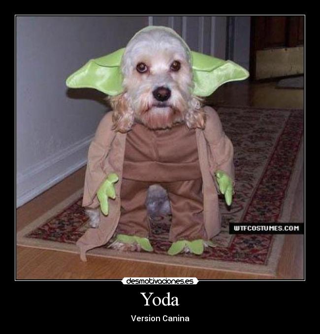 Yoda - Version Canina