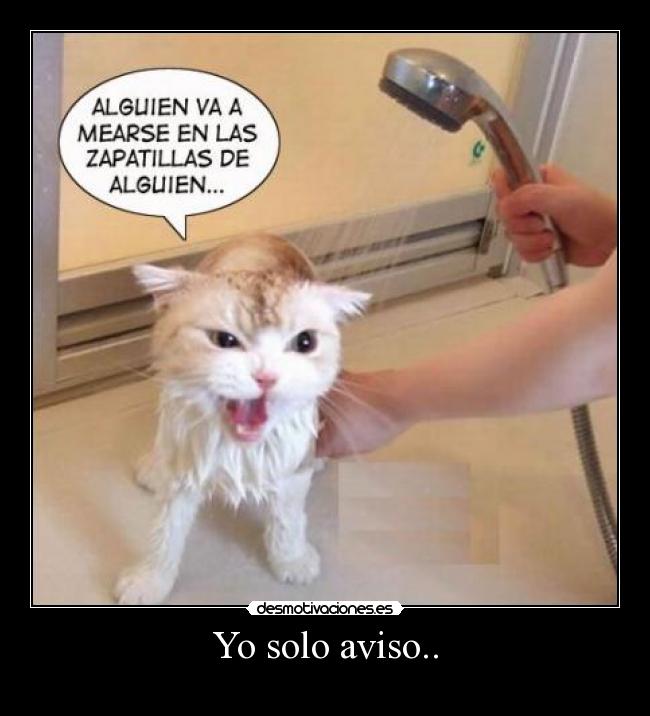 carteles solo aviso gatosmojado rob ducha desmotivaciones