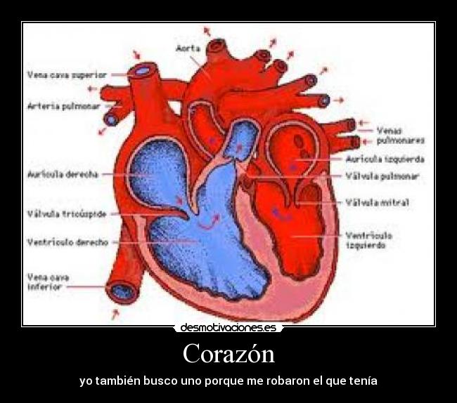 Corazón - yo también busco uno porque me robaron el que tenía