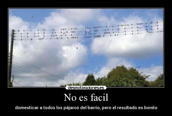 No es facil -