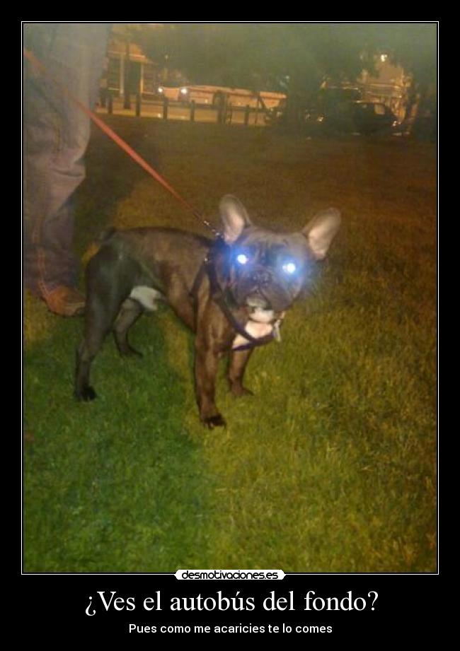 ¿Ves el autobús del fondo? - 