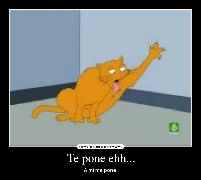 Te pone ehh... - 