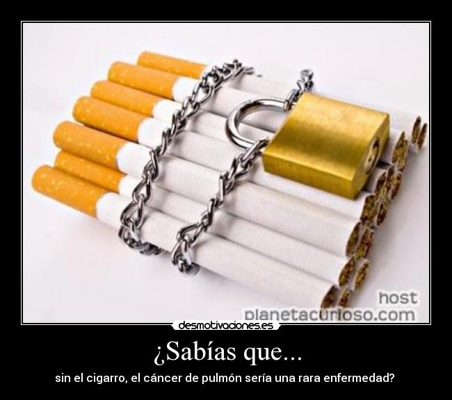 ¿Sabías que... - sin el cigarro, el cáncer de pulmón sería una rara enfermedad? 