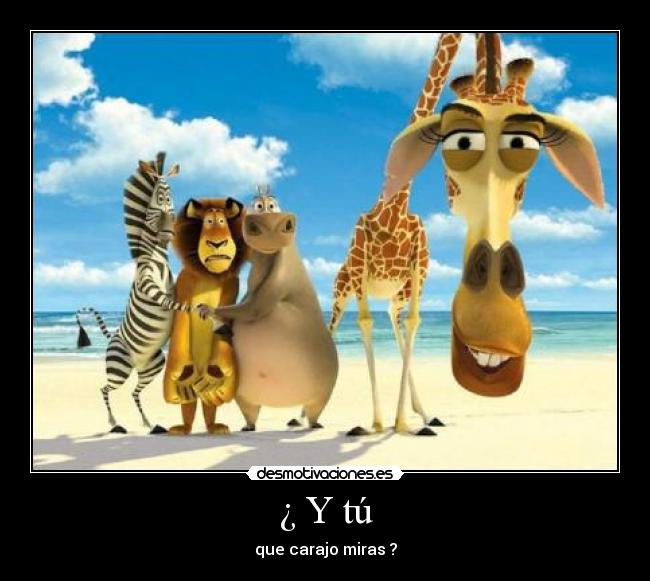 ¿ Y tú - que carajo miras ?