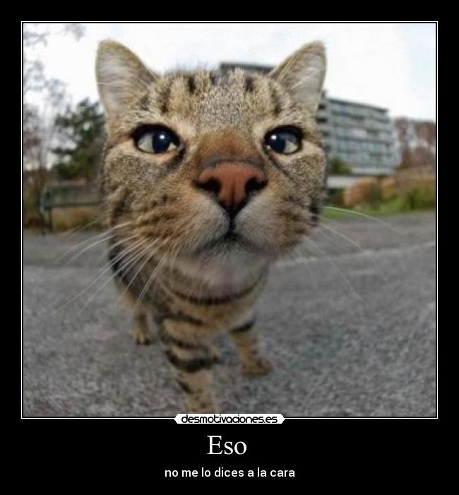 carteles eso dices cara gatoslol fail desmotivaciones