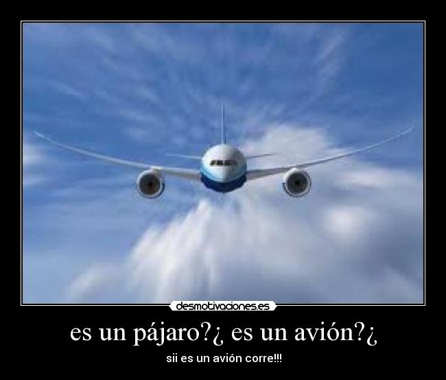 es un pájaro?¿ es un avión?¿ - sii es un avión corre!!!