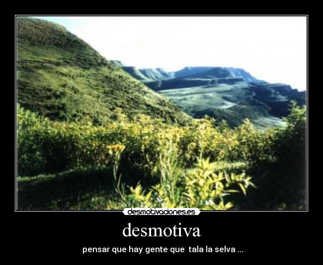 desmotiva -