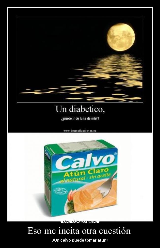 carteles atun calvo desmotivaciones