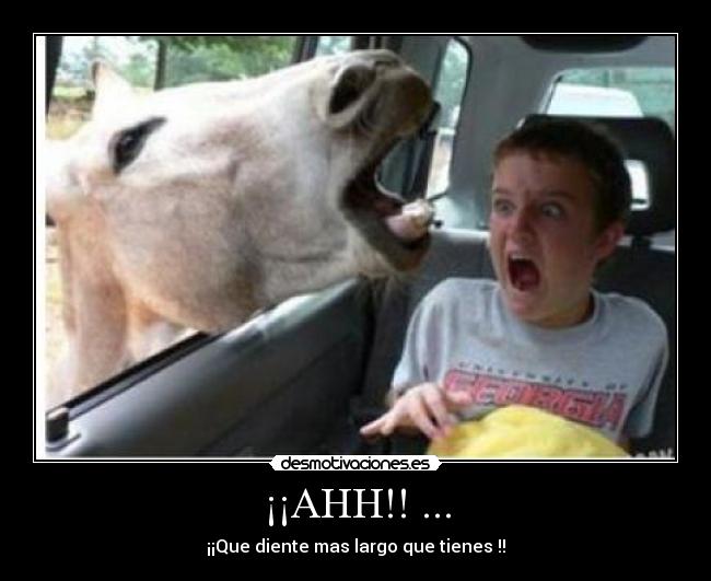 ¡¡AHH!! ... - 