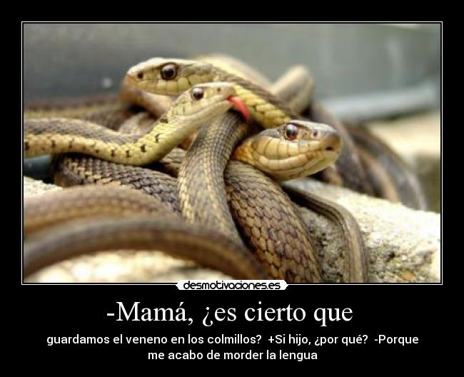 -Mamá, ¿es cierto que -