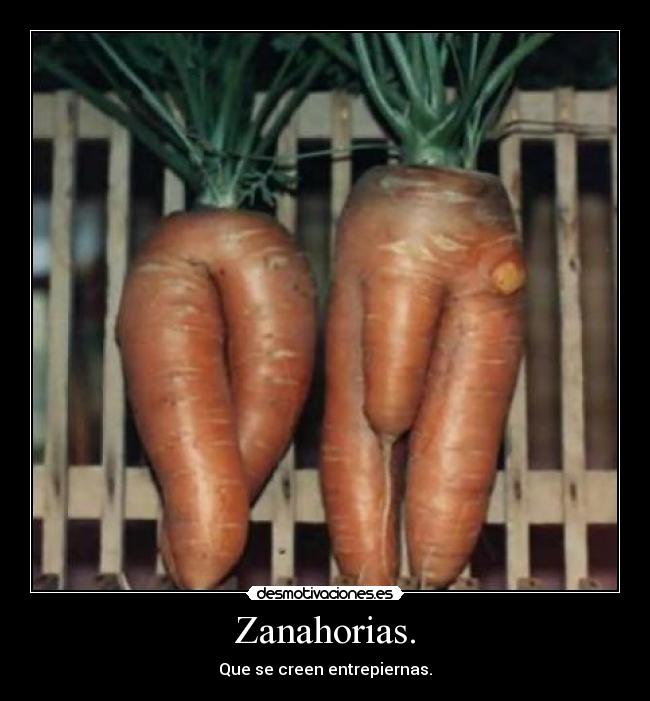 Zanahorias. - 
