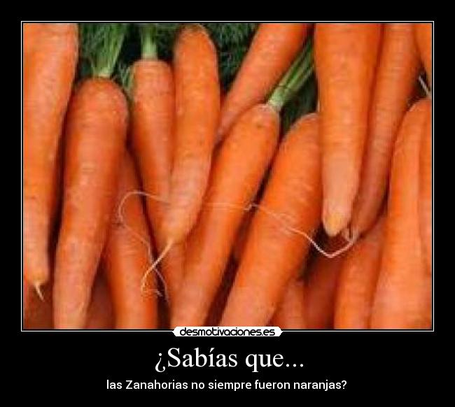 ¿Sabías que... - las Zanahorias no siempre fueron naranjas? 