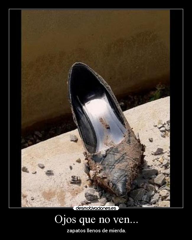 Ojos que no ven... - zapatos llenos de mierda.