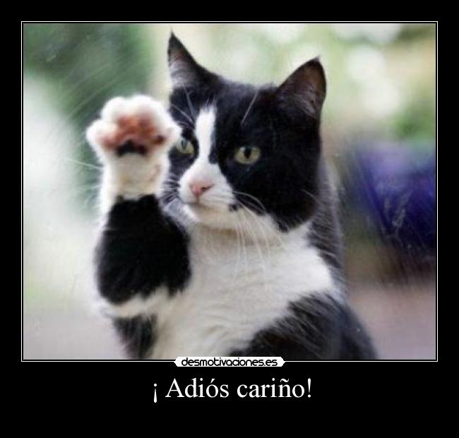 ¡ Adiós cariño! -