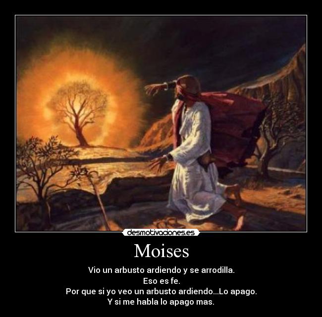 carteles moises desmotivaciones