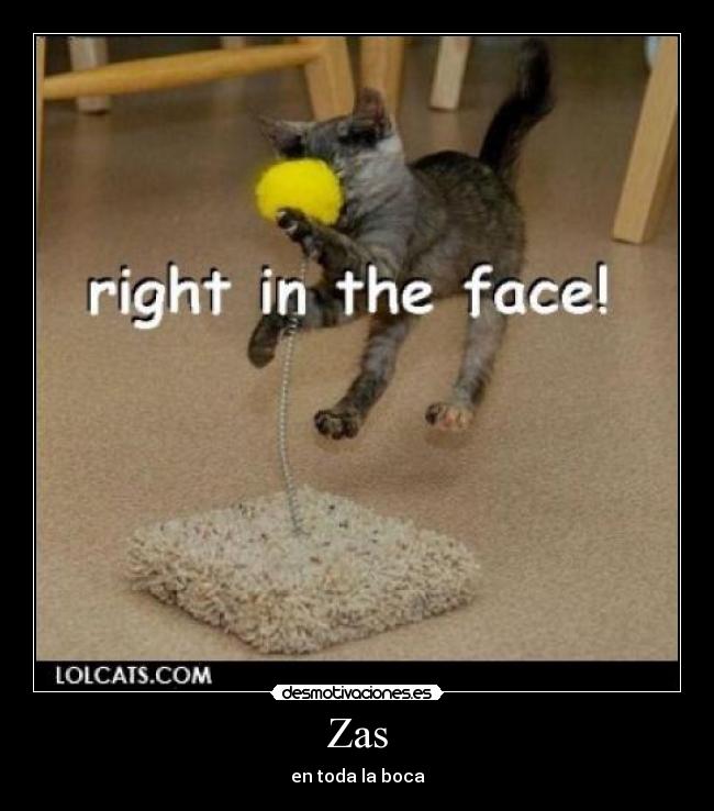 carteles zas toda boca lolcats lalokaviolinista desmotivaciones