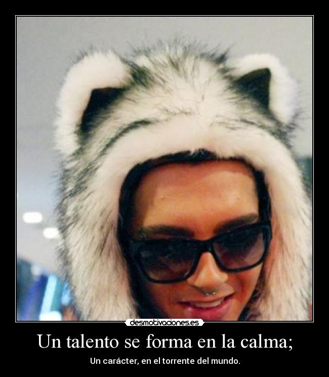 carteles vacas profesores kaulitz desmotivaciones