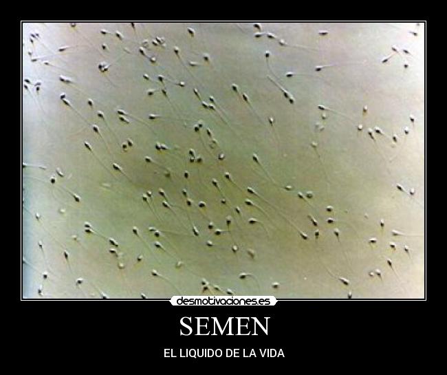 SEMEN -