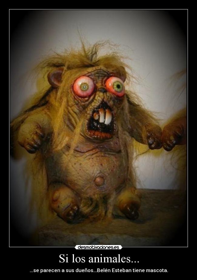 Si los animales... - 