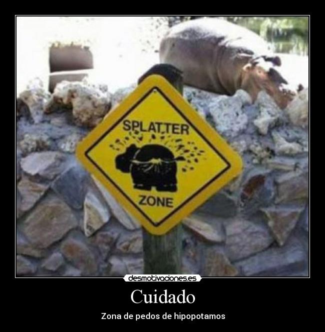 Cuidado - 