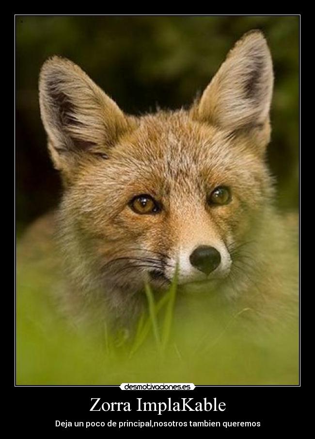 Zorra ImplaKable - Deja un poco de principal,nosotros tambien queremos
