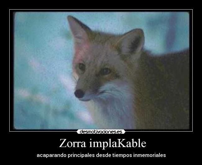 Zorra implaKable - acaparando principales desde tiempos inmemoriales