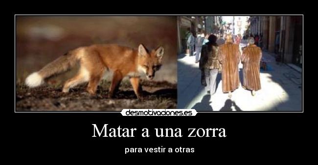 carteles animales sociedad desmotivaciones