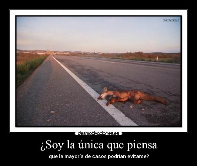 ¿Soy la única que piensa -