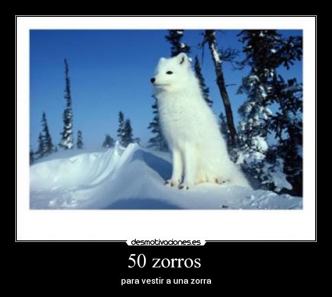 50 zorros - para vestir a una zorra