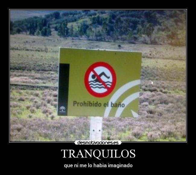TRANQUILOS - que ni me lo habia imaginado