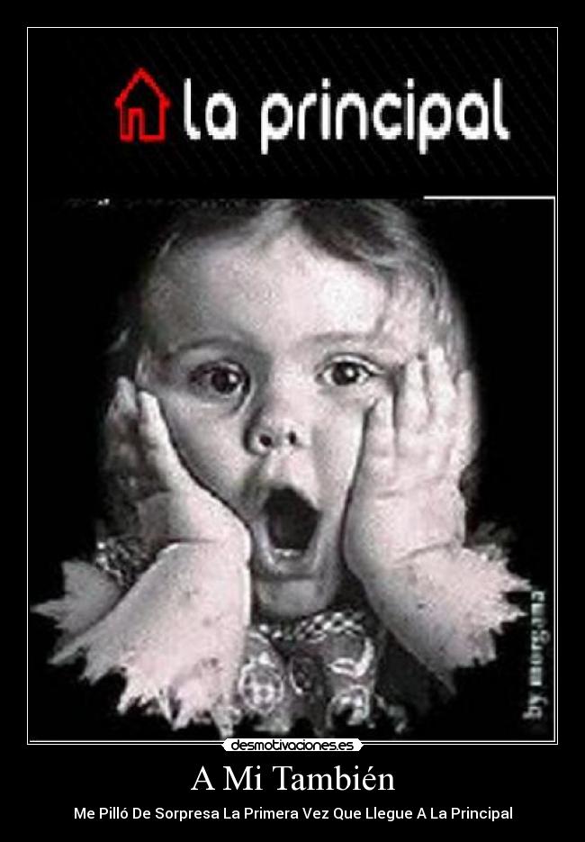 A Mi También - 