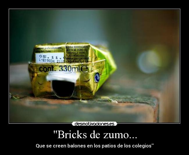 Bricks de zumo... -