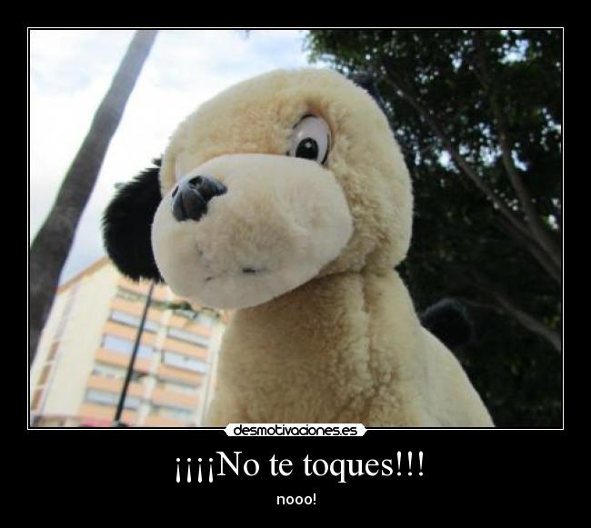 ¡¡¡¡No te toques!!! - nooo!