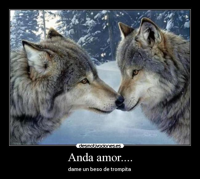 Anda amor.... -