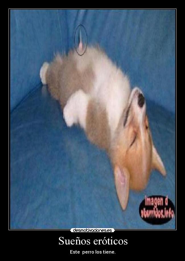 Sueños eróticos - 