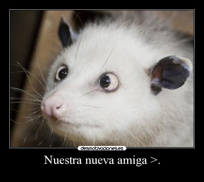 Nuestra nueva amiga >. -