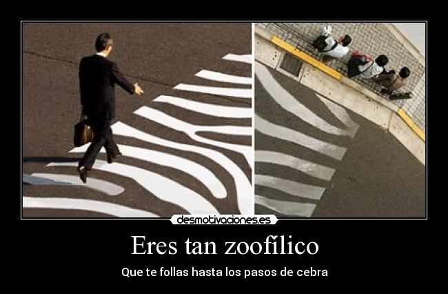 Eres tan zoofílico - 